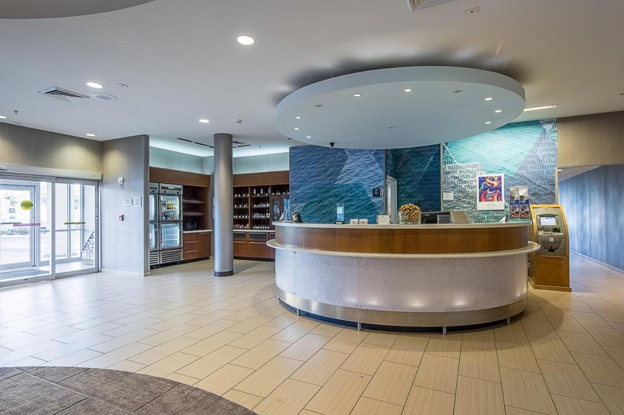 Springhill Suites Tampa North/Tampa Palms Dış mekan fotoğraf