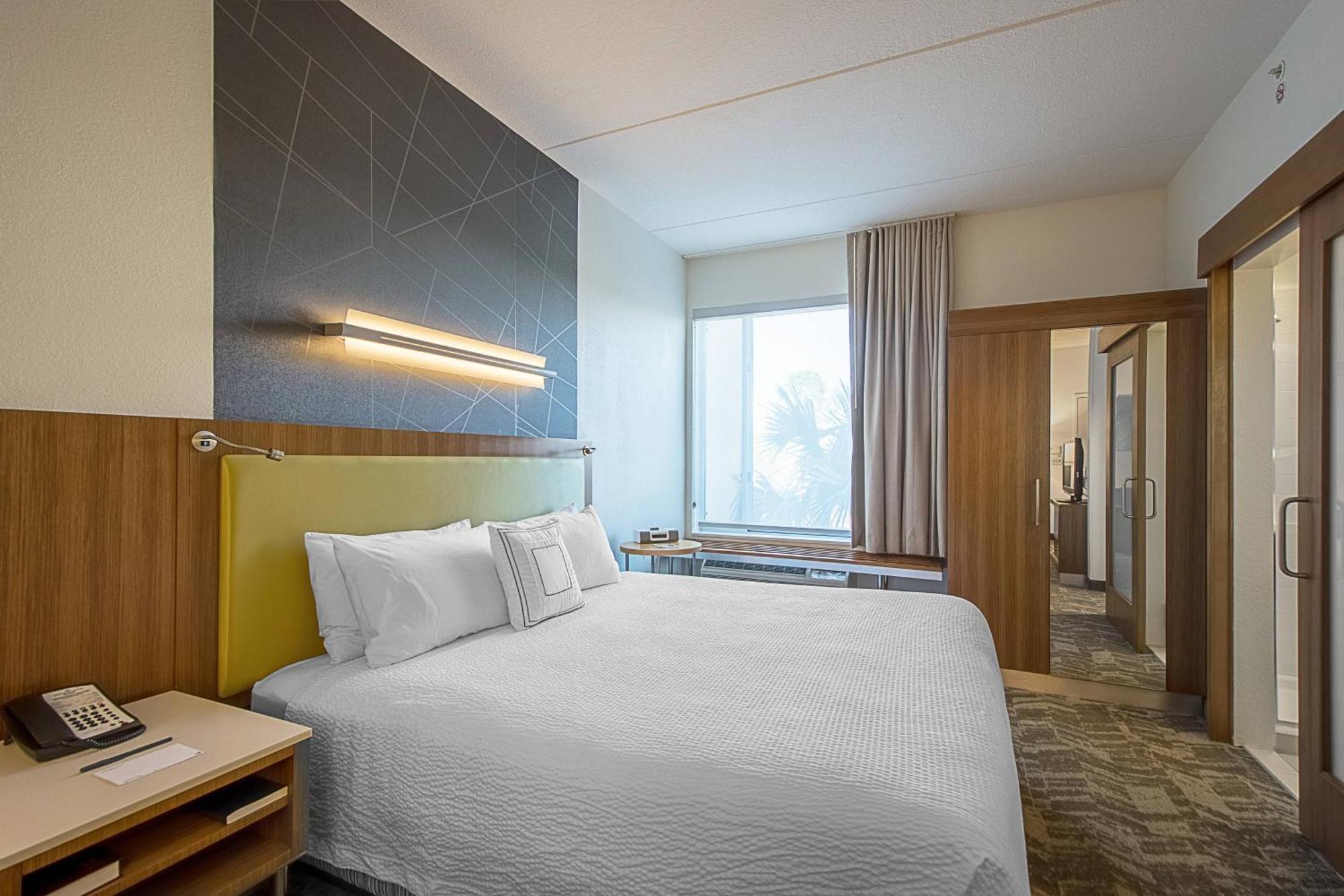 Springhill Suites Tampa North/Tampa Palms Dış mekan fotoğraf