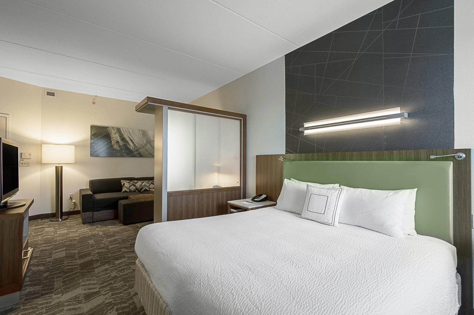 Springhill Suites Tampa North/Tampa Palms Dış mekan fotoğraf