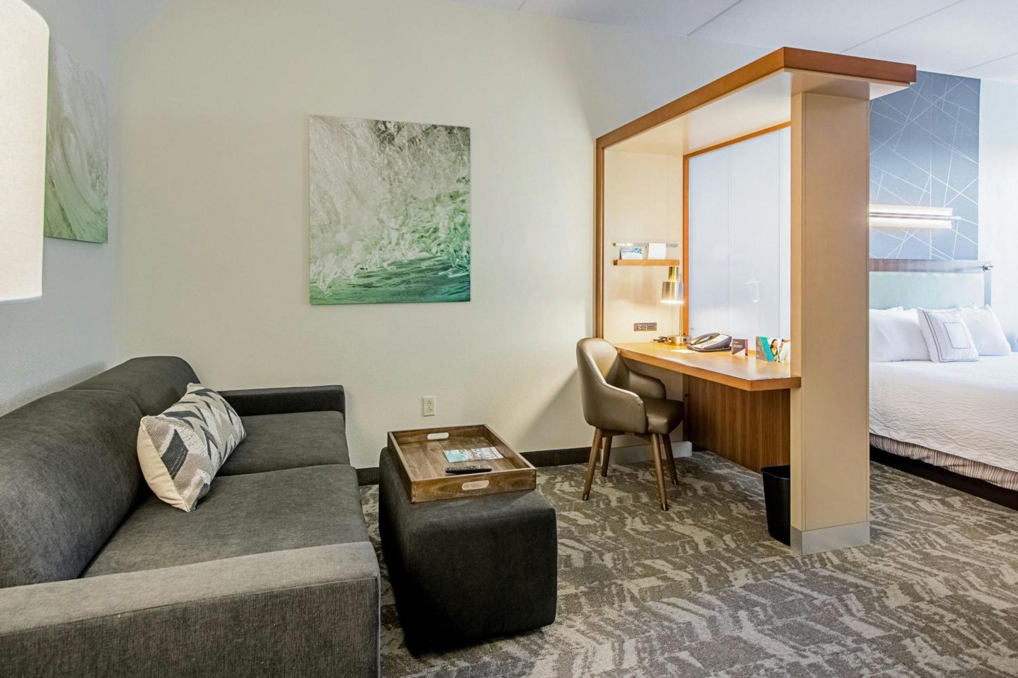 Springhill Suites Tampa North/Tampa Palms Dış mekan fotoğraf