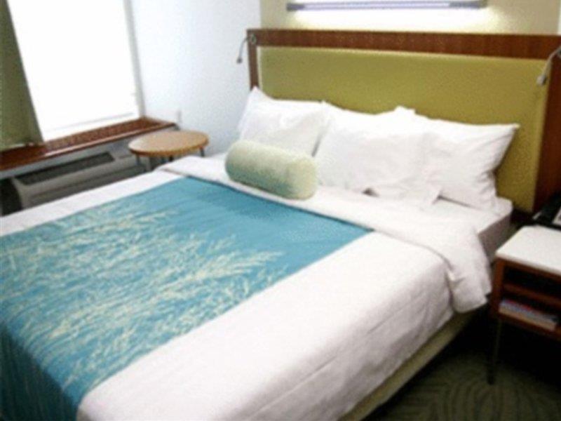 Springhill Suites Tampa North/Tampa Palms Dış mekan fotoğraf