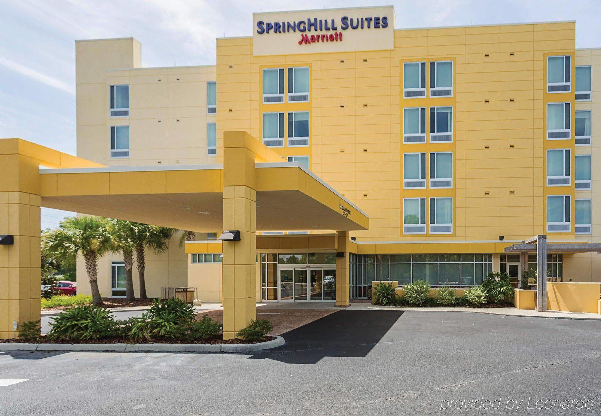 Springhill Suites Tampa North/Tampa Palms Dış mekan fotoğraf