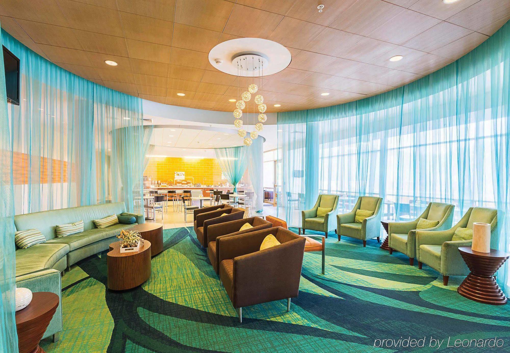 Springhill Suites Tampa North/Tampa Palms Dış mekan fotoğraf