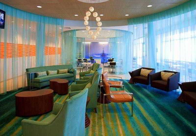 Springhill Suites Tampa North/Tampa Palms İç mekan fotoğraf