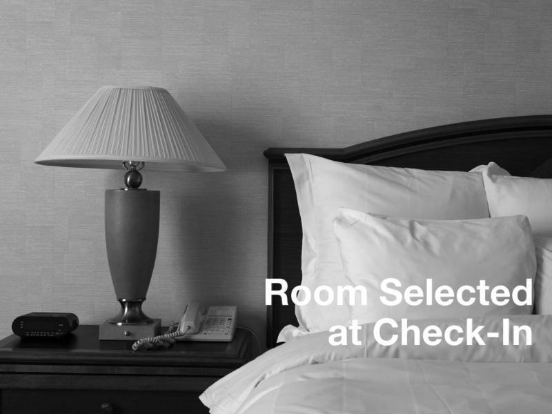 Springhill Suites Tampa North/Tampa Palms Dış mekan fotoğraf